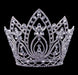 Tiaras & Crowns over 6" #16659 Pear Blossom Adjustable Crown - 8"