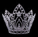 Tiaras & Crowns over 6" #16660 Pear Blossom Adjustable Crown - 10"