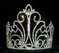 #12545 Crystal Fountain Tiara
