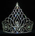 #15660 - Welcoming Crown