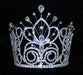 #16109 - Maus Spray Crown - Crystal - 6"