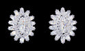 Earrings - Button #17069 - Jewel Burst CZ Earrings