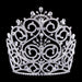 Tiaras & Crowns over 6" #16803 - Brocade Flourish Tiara with Combs - 8"