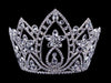 Tiaras & Crowns up to 6" #16658 Pear Blossom Tiara with Combs 6"