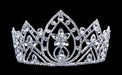 Tiaras up to 4" #16657 Pear Blossom Tiara with Combs 4.25"